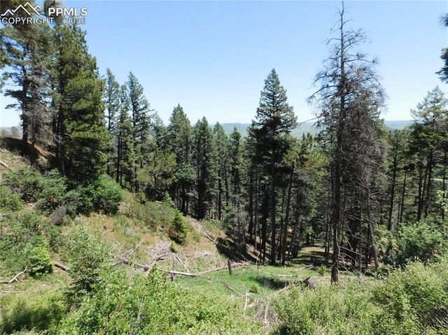 Lot 11 Woodmoor West Drive, Larkspur, CO 80118