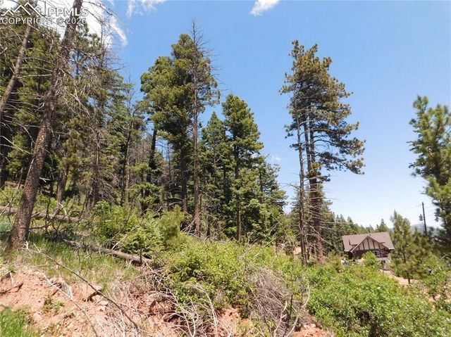 Lot 11 Woodmoor West Drive, Larkspur, CO 80118
