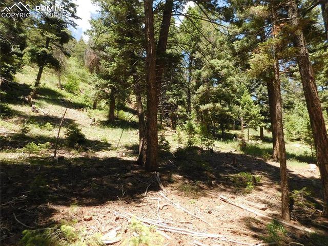 Lot 11 Woodmoor West Drive, Larkspur, CO 80118
