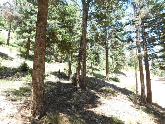 Lot 11 Woodmoor West Drive, Larkspur, CO 80118