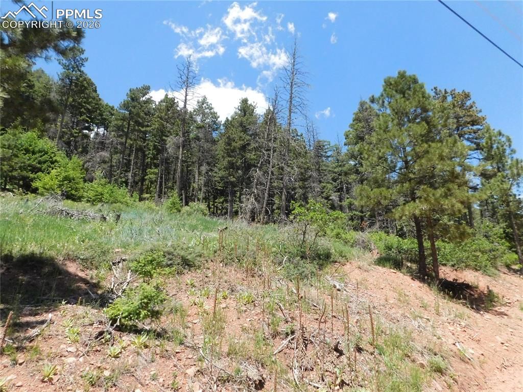 Lot 11 Woodmoor West Drive, Larkspur, CO 80118