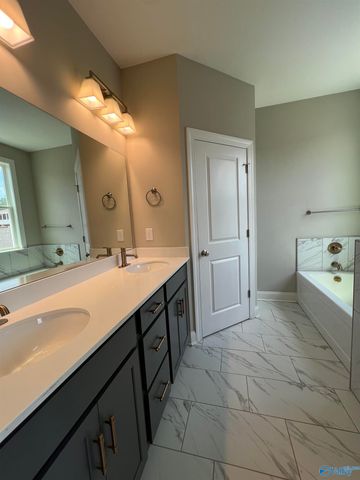 116 Bourbon Alley, Madison, AL 35758