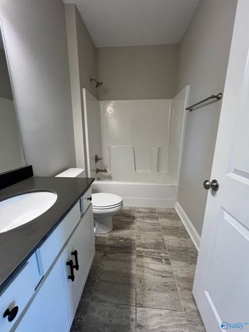 116 Bourbon Alley, Madison, AL 35758