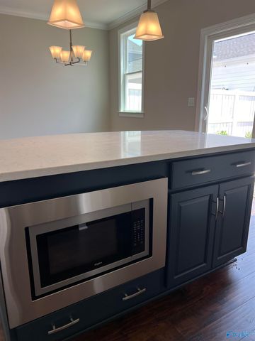 116 Bourbon Alley, Madison, AL 35758