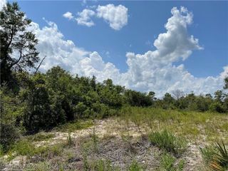 456 Rose Lane, Lake Placid, FL 33852