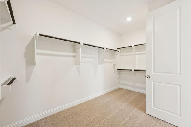 16167 Sheridan River Trail, Conroe, TX 77302