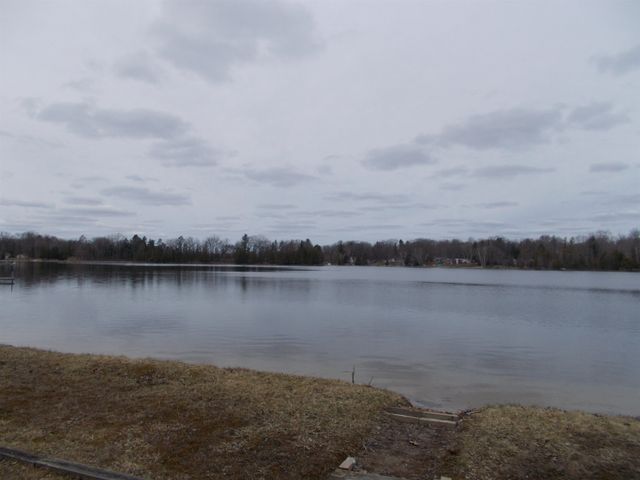 8120 Avalon Drive, Hale, MI 48739