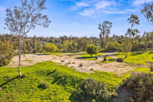 18065 Avenida Alondra, Rancho Santa Fe, CA 92067