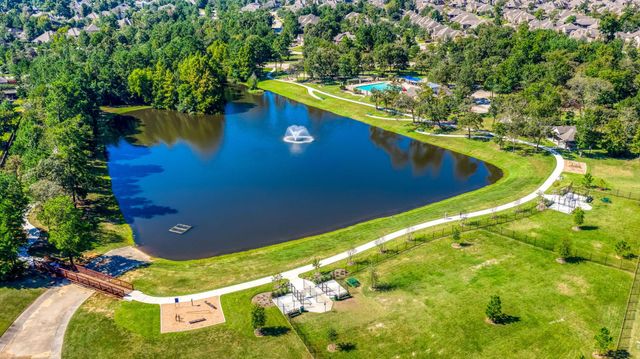 915 Holly Chapple Drive, Conroe, TX 77384
