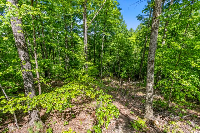 1237B High Rock Road, Stanton, KY 40380