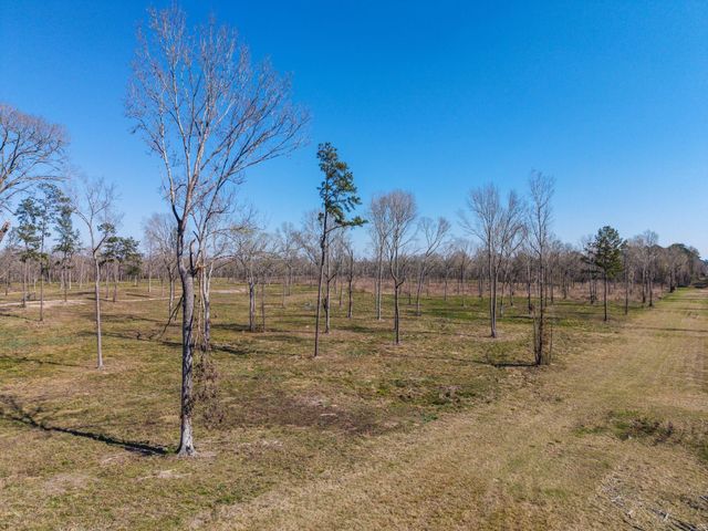 Lot 6 Johnson Drive, Livingston, TX 77351