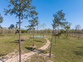 Lot 6 Johnson Drive, Livingston, TX 77351