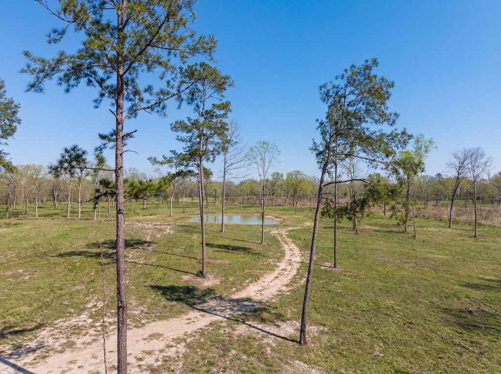 Lot 6 Johnson Drive, Livingston, TX 77351
