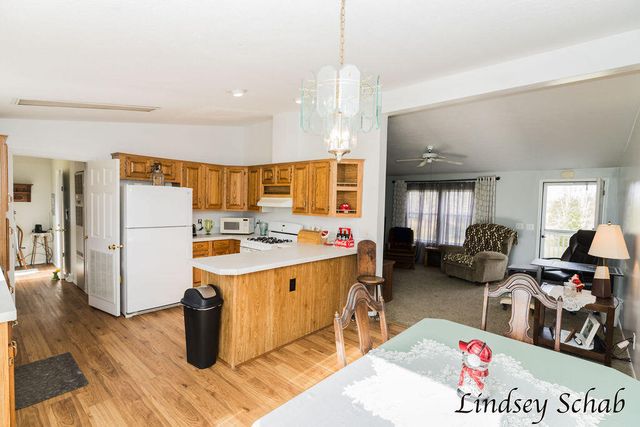 196 E Peck Lake Road, Ionia, MI 48846