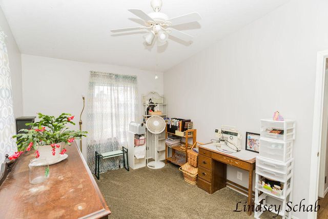 196 E Peck Lake Road, Ionia, MI 48846