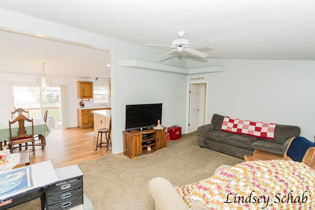 196 E Peck Lake Road, Ionia, MI 48846