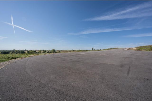 2516 Tom Chaney Drive, Cresson, TX 76035