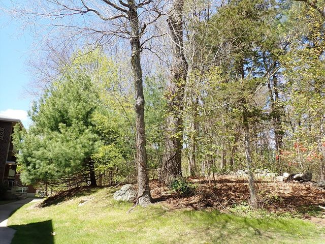 51 Jacqueline Road 3, Waltham, MA 02452