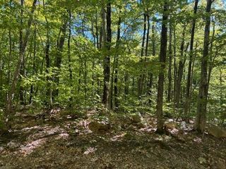 19 West Bergamo Road, Madison, NH 03849