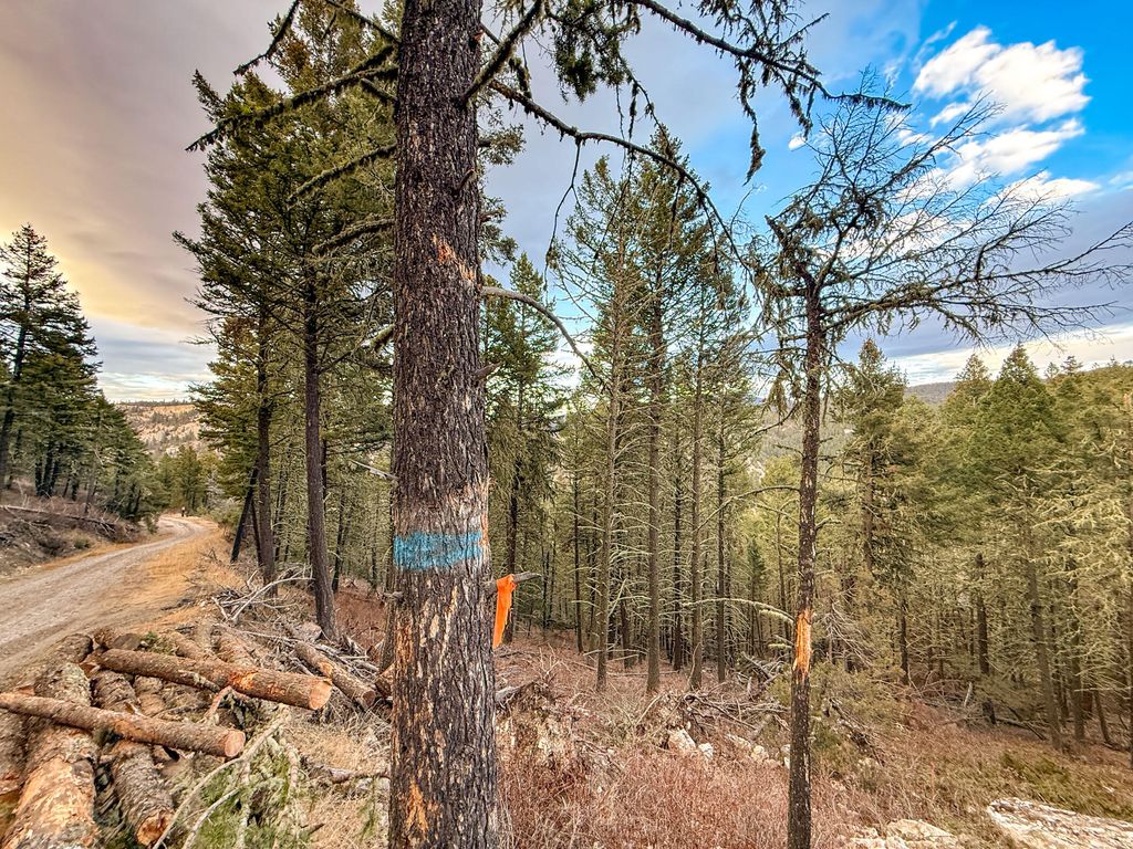 NHN Two Creeks RD, Other - See Remarks, MT 59645 photo 24