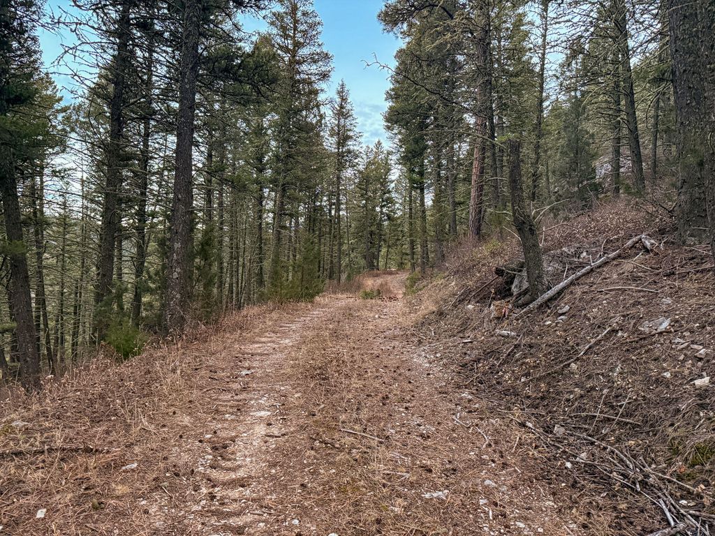 NHN Two Creeks RD, Other - See Remarks, MT 59645 photo 25