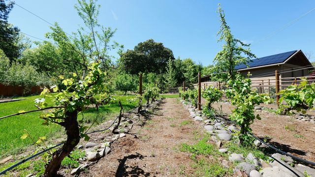 343 Rene Drive, Shady Cove, OR 97539