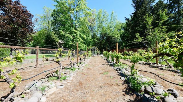 343 Rene Drive, Shady Cove, OR 97539