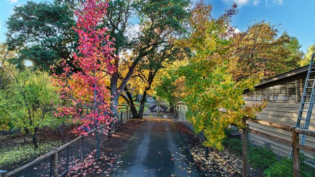 343 Rene Drive, Shady Cove, OR 97539