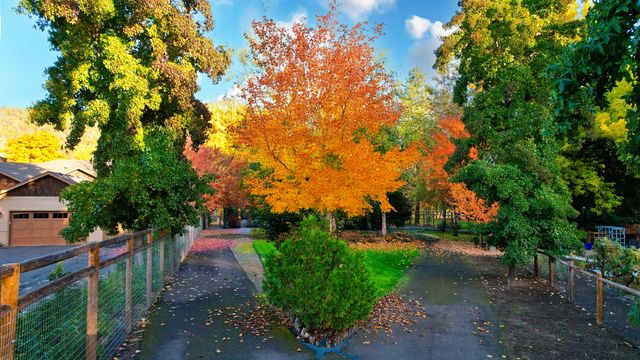 343 Rene Drive, Shady Cove, OR 97539