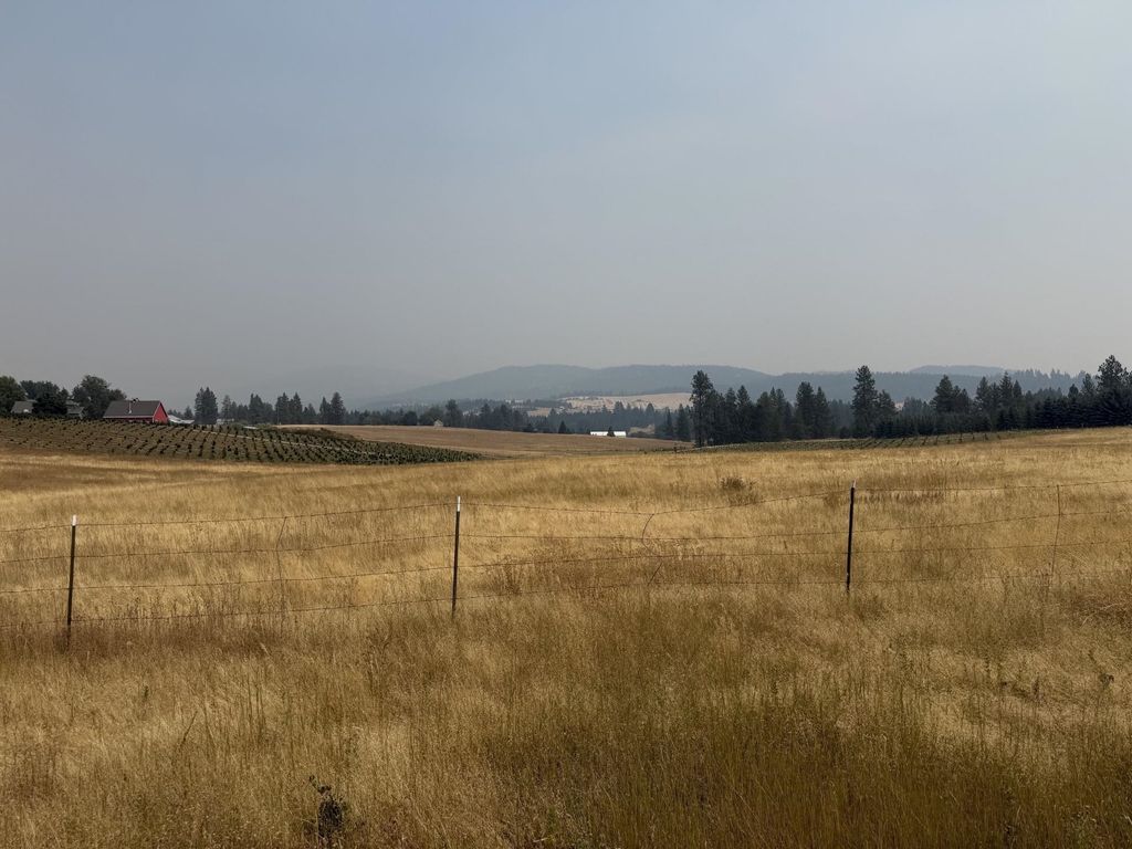 13XXX E Gibbs Rd, Mica, WA 99023 photo 1