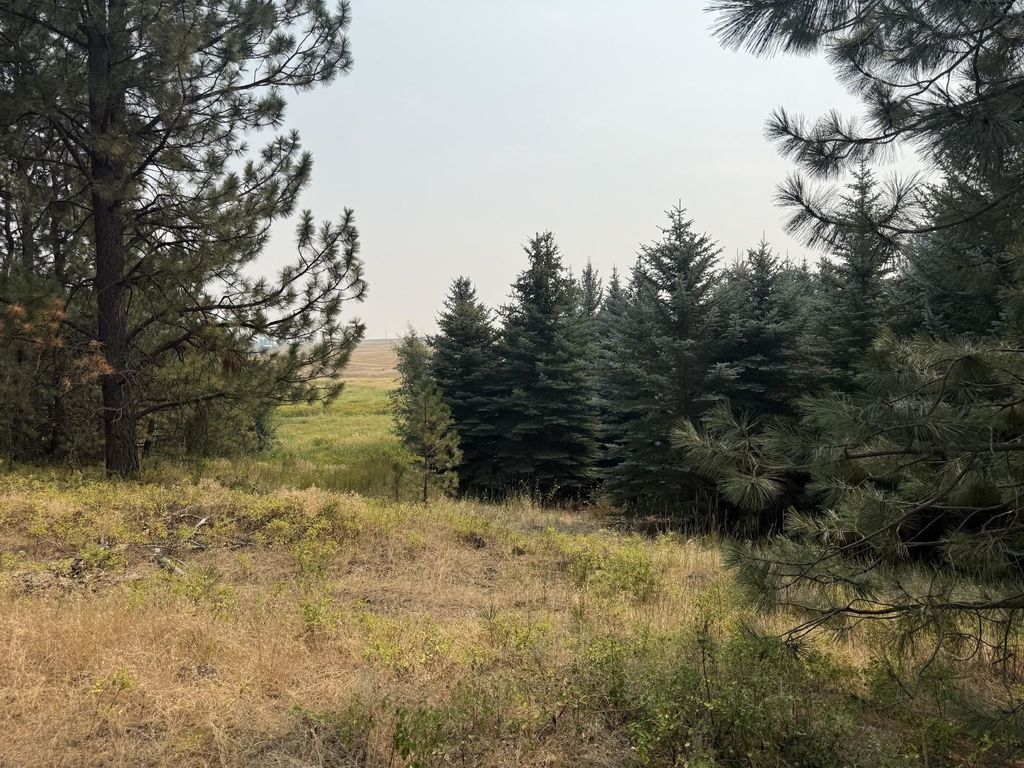 13XXX E Gibbs Rd, Mica, WA 99023 photo 3