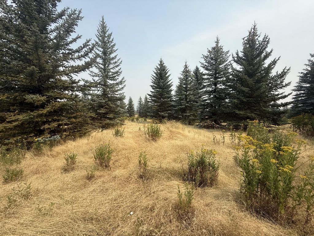 13XXX E Gibbs Rd, Mica, WA 99023 photo 4