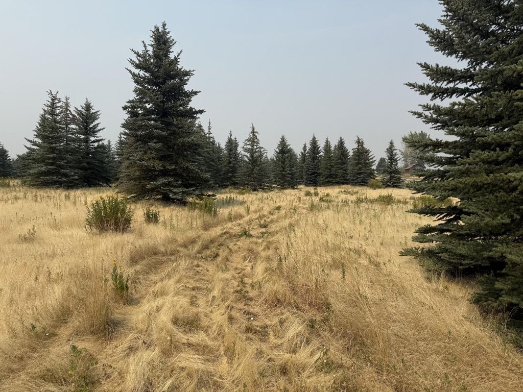 13XXX E Gibbs Rd, Mica, WA 99023 photo 5