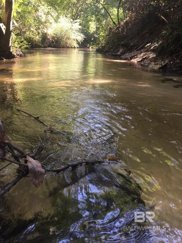22580 Doc Mcduffie Road, Foley, AL 36535