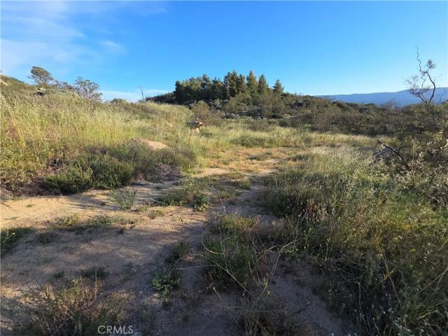 1007 Roan Way, Aguanga, CA 92536
