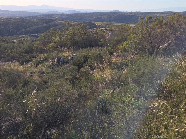 1007 Roan Way, Aguanga, CA 92536