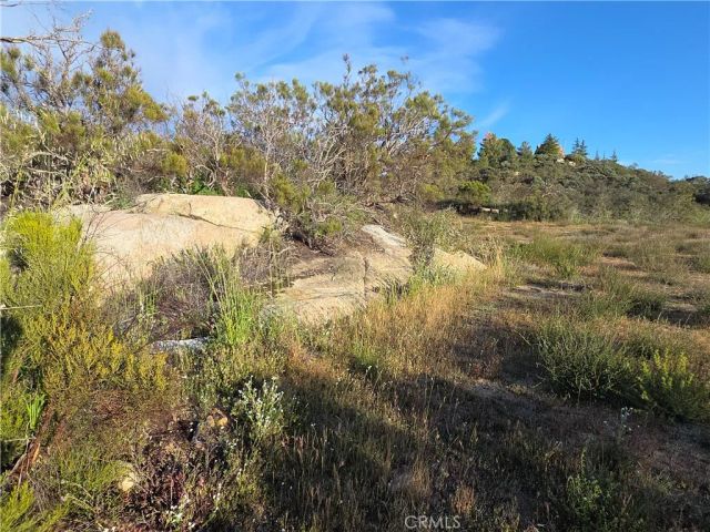 1007 Roan Way, Aguanga, CA 92536