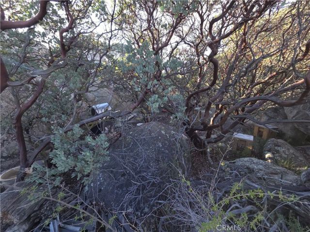 1007 Roan Way, Aguanga, CA 92536