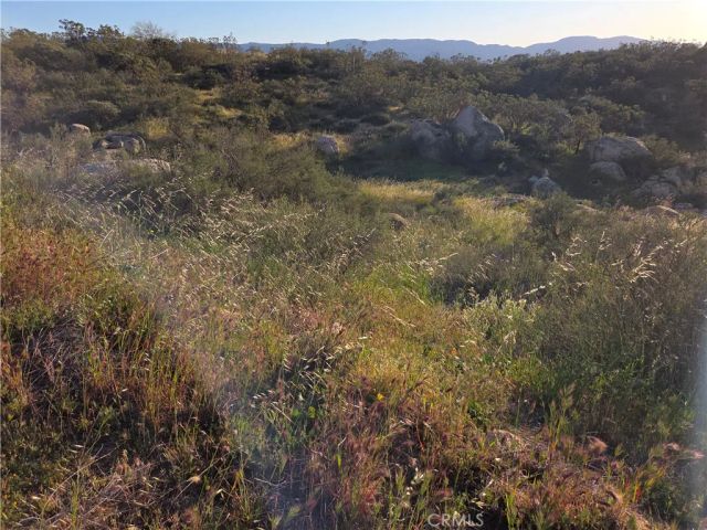 1007 Roan Way, Aguanga, CA 92536