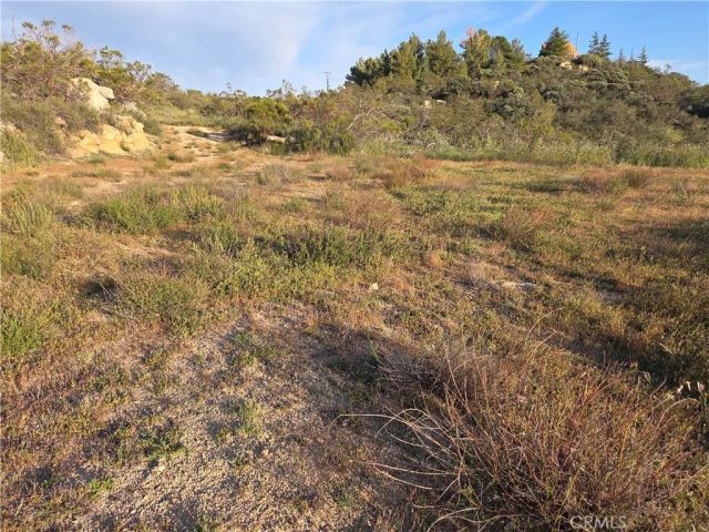 1007 Roan Way, Aguanga, CA 92536