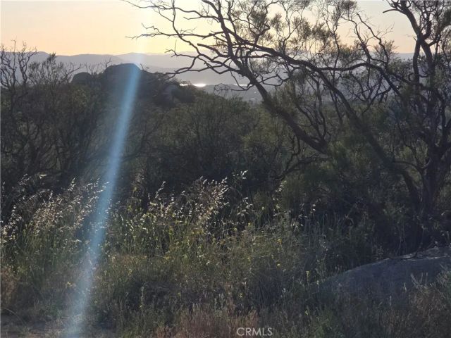 1007 Roan Way, Aguanga, CA 92536