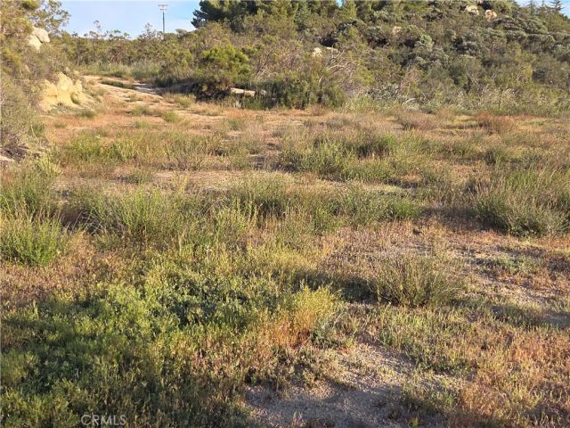 1007 Roan Way, Aguanga, CA 92536