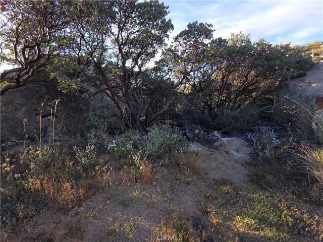 1007 Roan Way, Aguanga, CA 92536