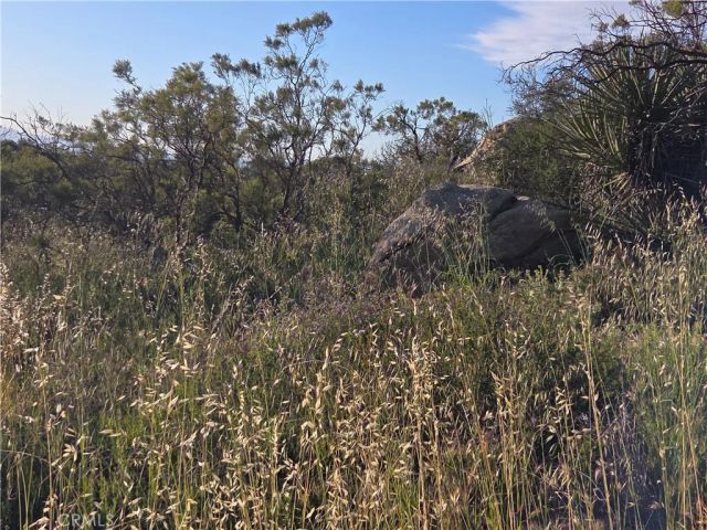 1007 Roan Way, Aguanga, CA 92536