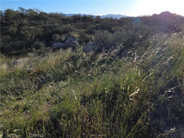 1007 Roan Way, Aguanga, CA 92536