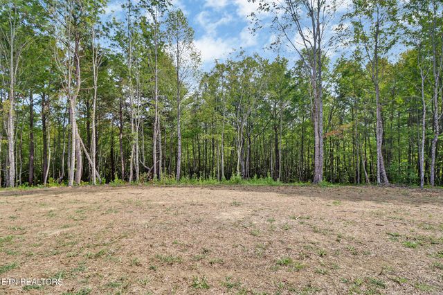 1119 Nichol Creek Drive, Jamestown, TN 38556