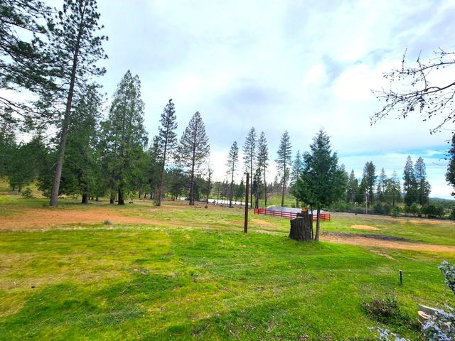 19500 Jesus Maria Rd, Mokelumne Hill, CA 95245
