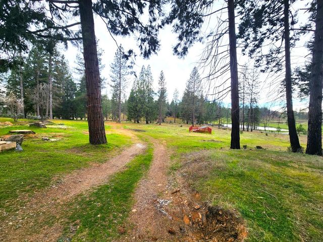 19500 Jesus Maria Rd, Mokelumne Hill, CA 95245