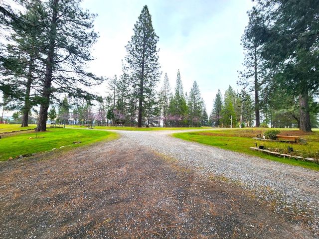 19500 Jesus Maria Rd, Mokelumne Hill, CA 95245