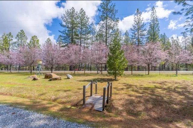 19500 Jesus Maria Rd, Mokelumne Hill, CA 95245